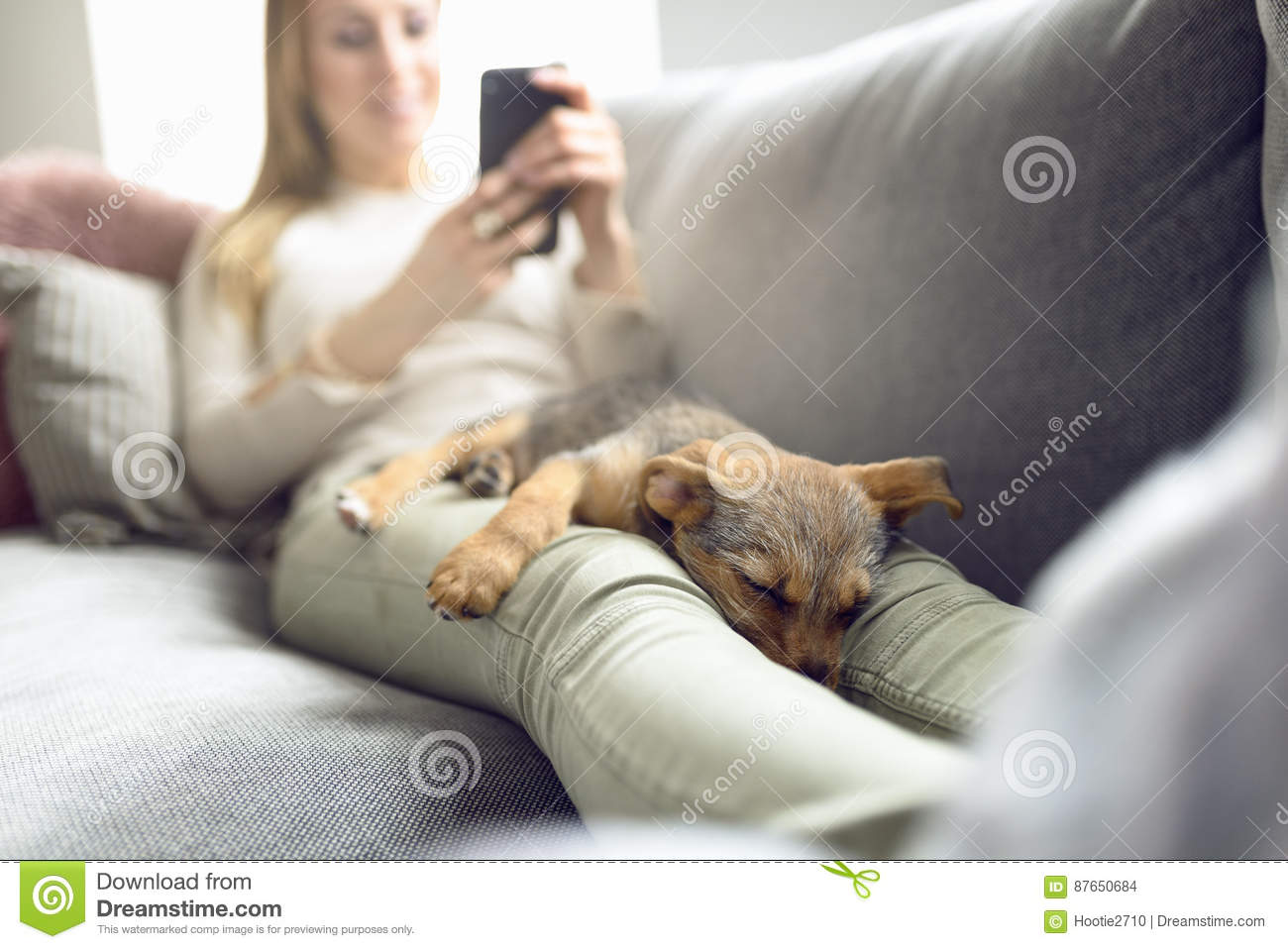 1666657038620.png