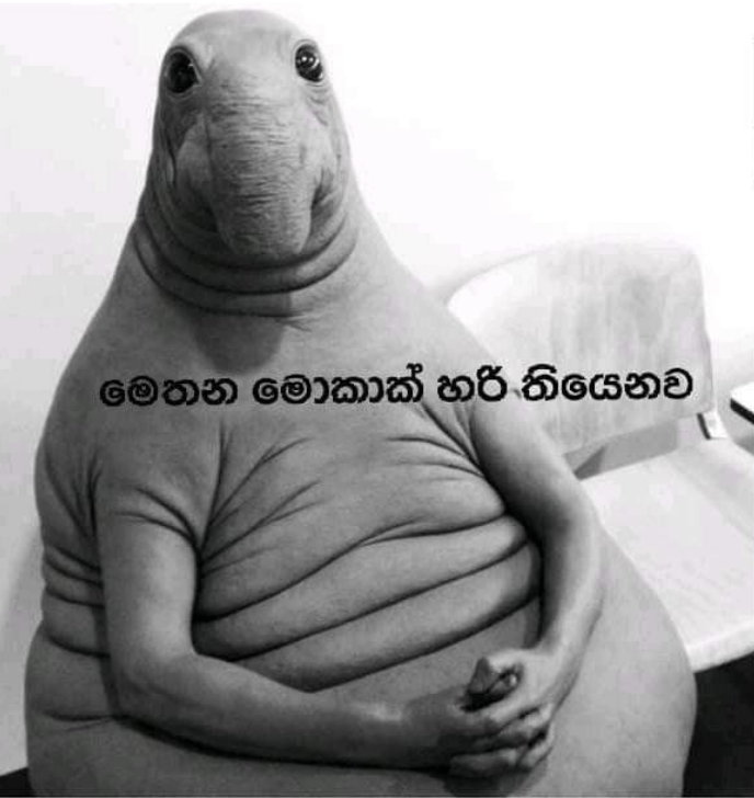 1668434875796.png