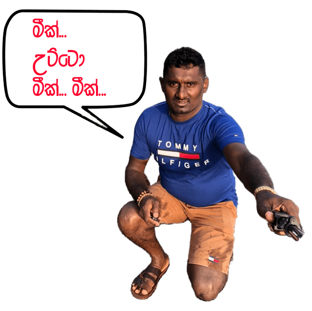 1670054202950.png