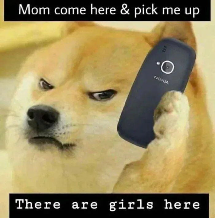 1673450795063.png