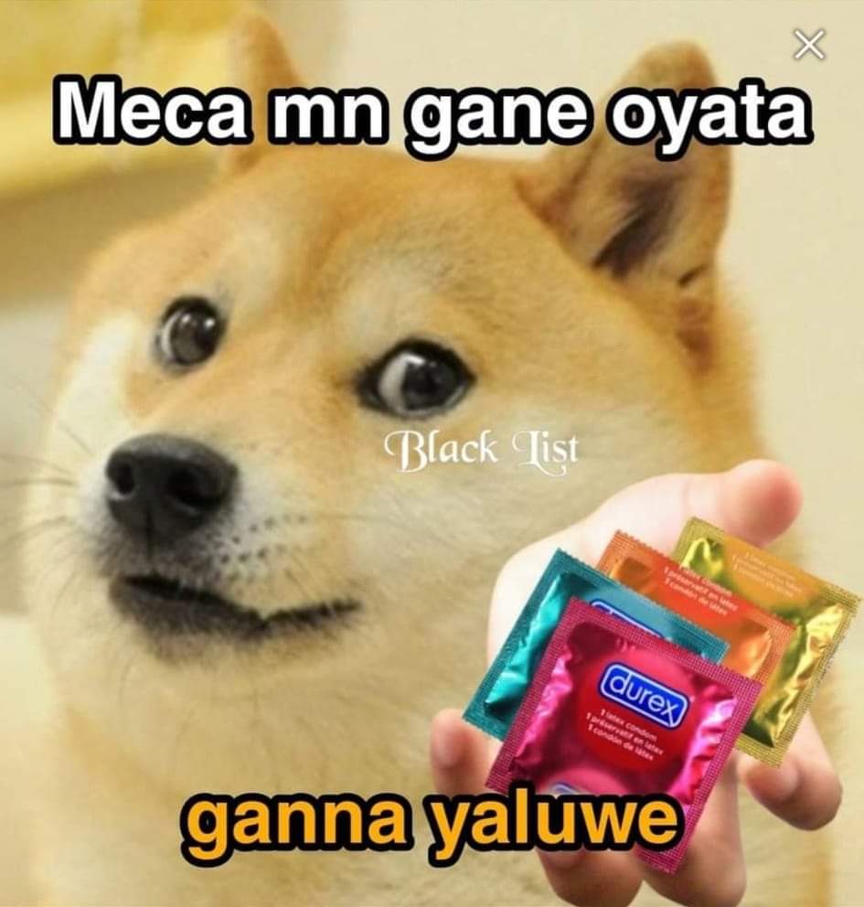 1676279672264.jpeg