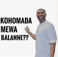 1676538295511.png