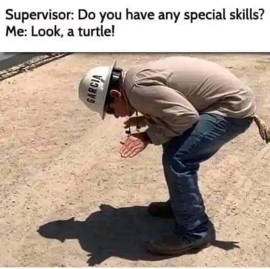1677340151344.jpeg