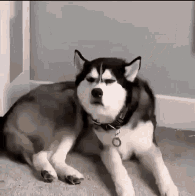 1678811069579.png