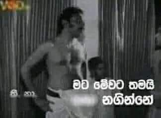 1679468459924.png