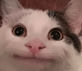 1679977200452.png
