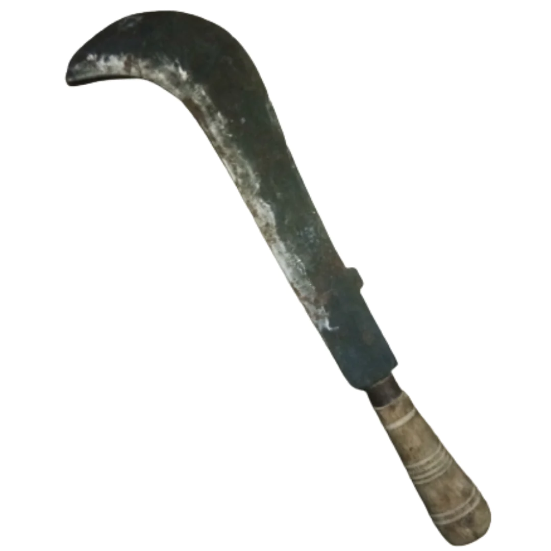 1680087474081.png