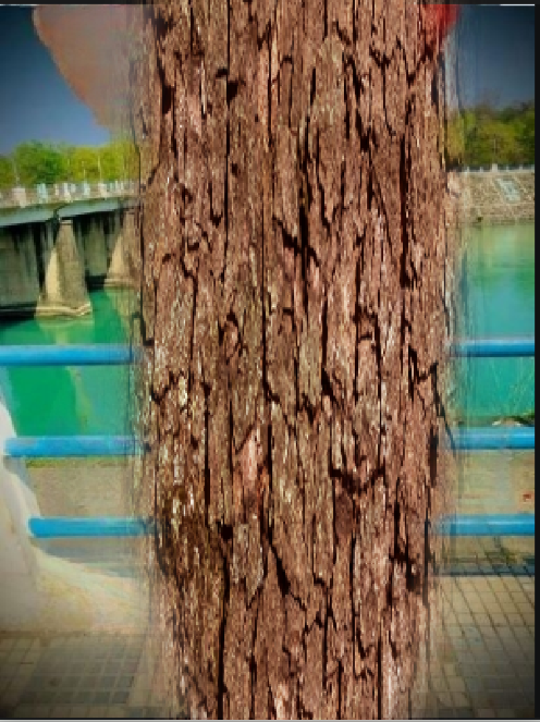 1680278354477.png
