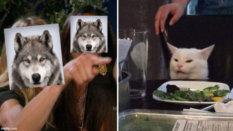 1681128847407.png