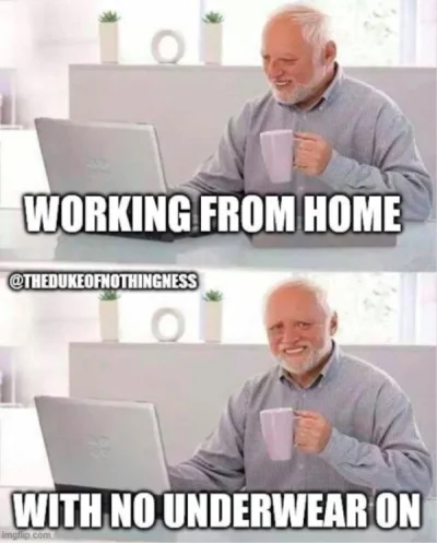 1681203206717.png