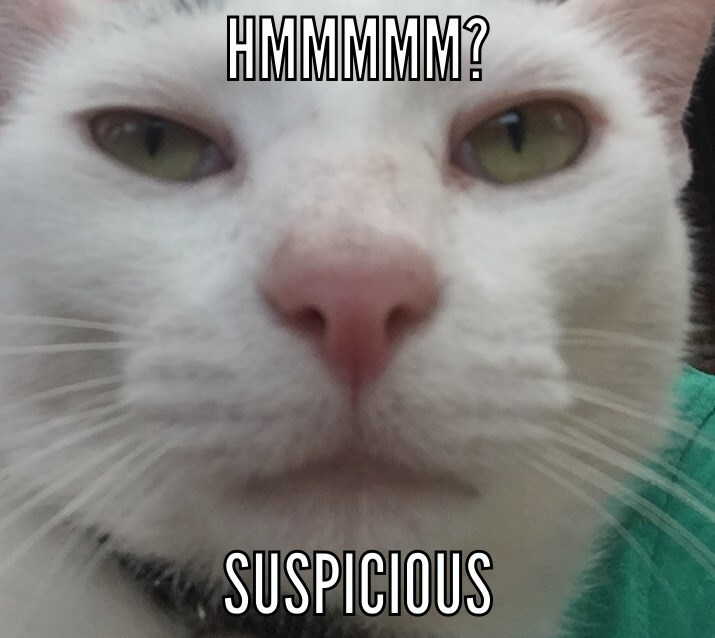 1681386612114.png