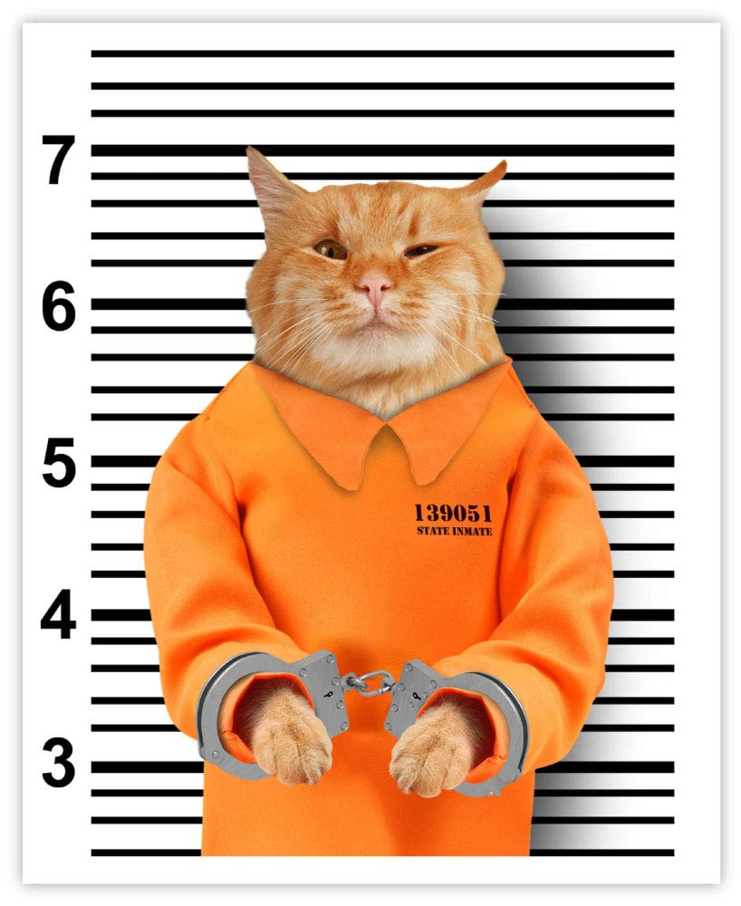 1681409425551.png