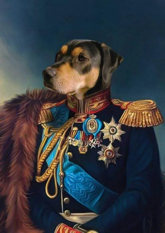 1683802861748.png