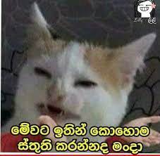 1684001509605.jpeg