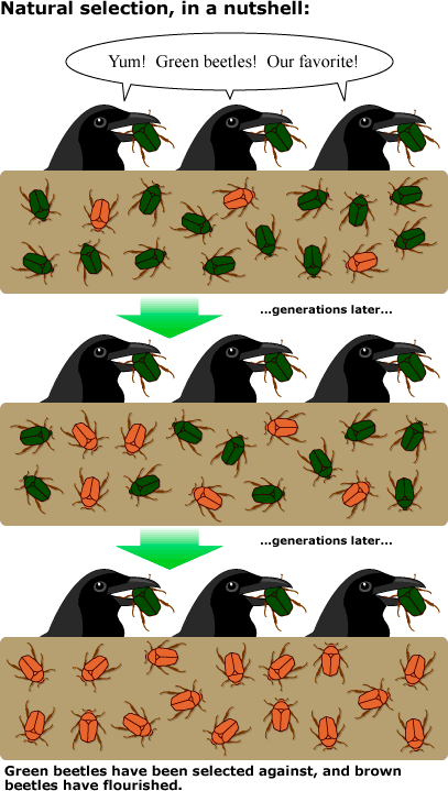 1684667319514.png
