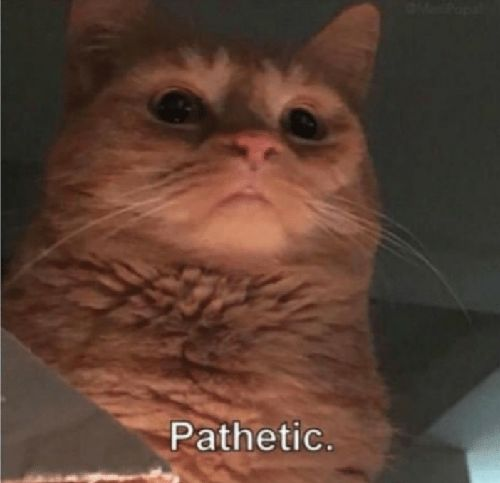 1684932056772.png
