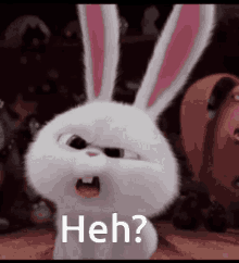 1685379058568.gif