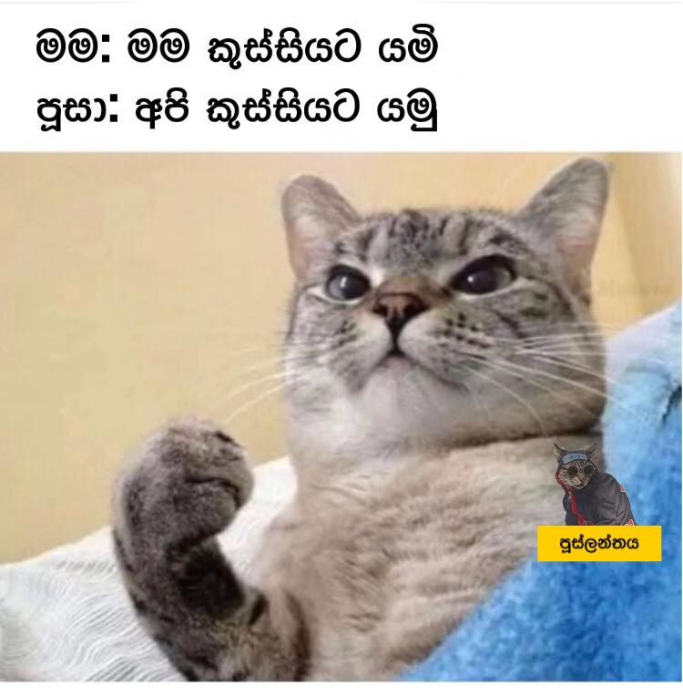 1685471408900.png