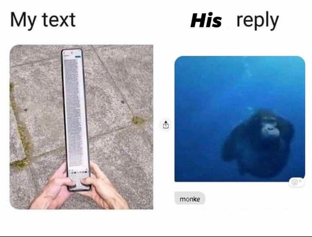 1689993309006.jpeg