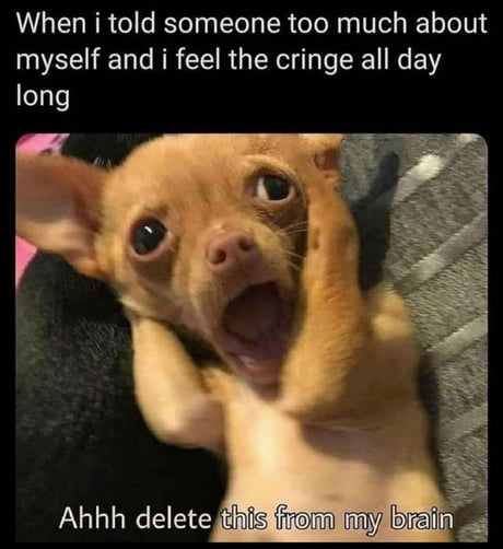 1689993592242.jpeg