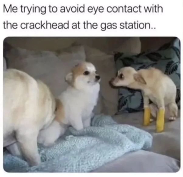 1690306454190.jpeg