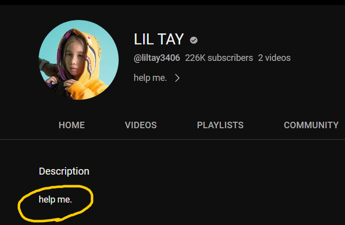1691698063841.png