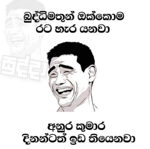 1693254616026.png