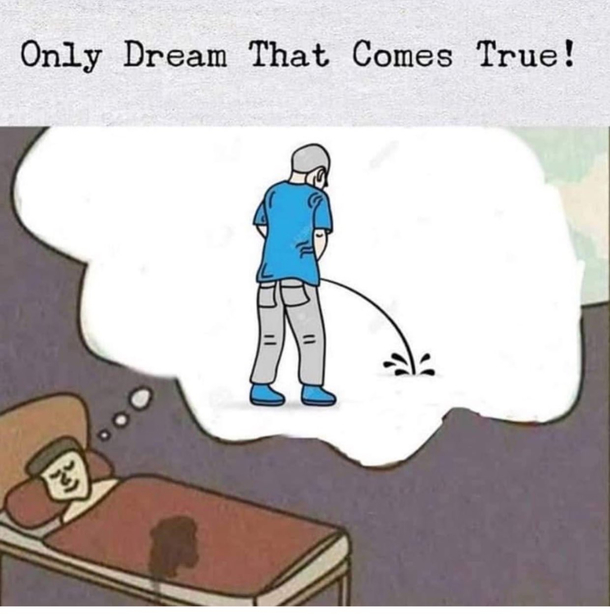 1693285999320.png