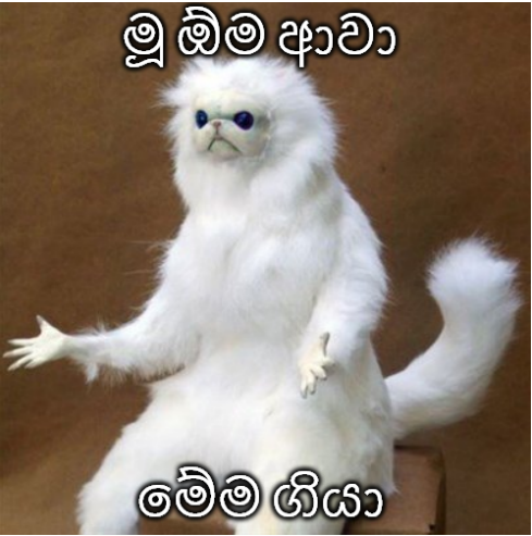 1694247955044.png