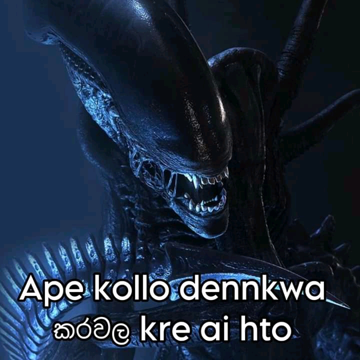 1694607419418.jpg