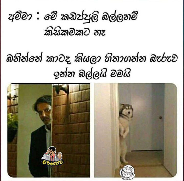 1695903809861.png