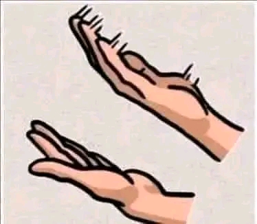 1699003155061.jpg