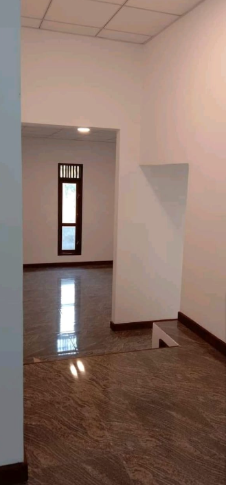 1699240321217.png