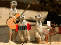 1699343532763.gif