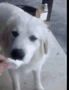 1702743975200.gif