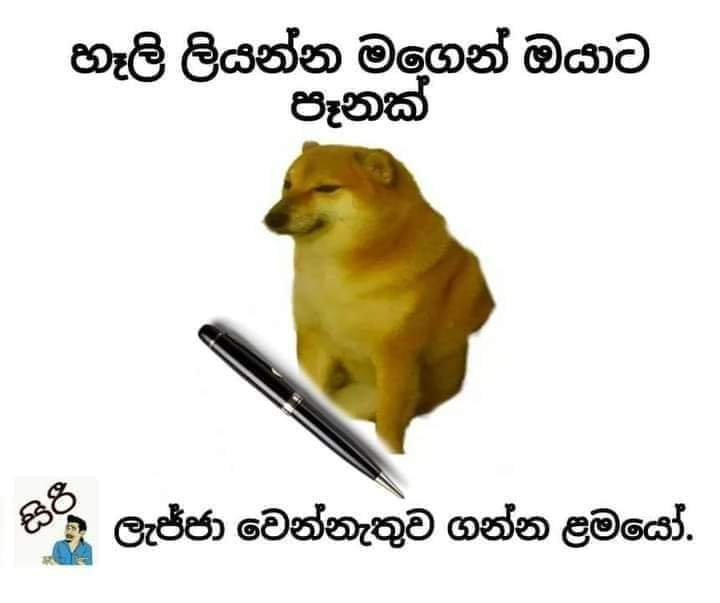 1704859386699.png