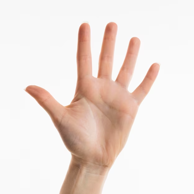 1707126481682.png