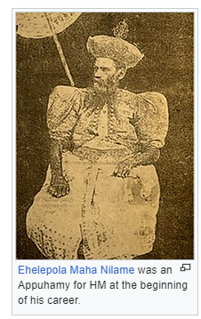 1707467032197.png
