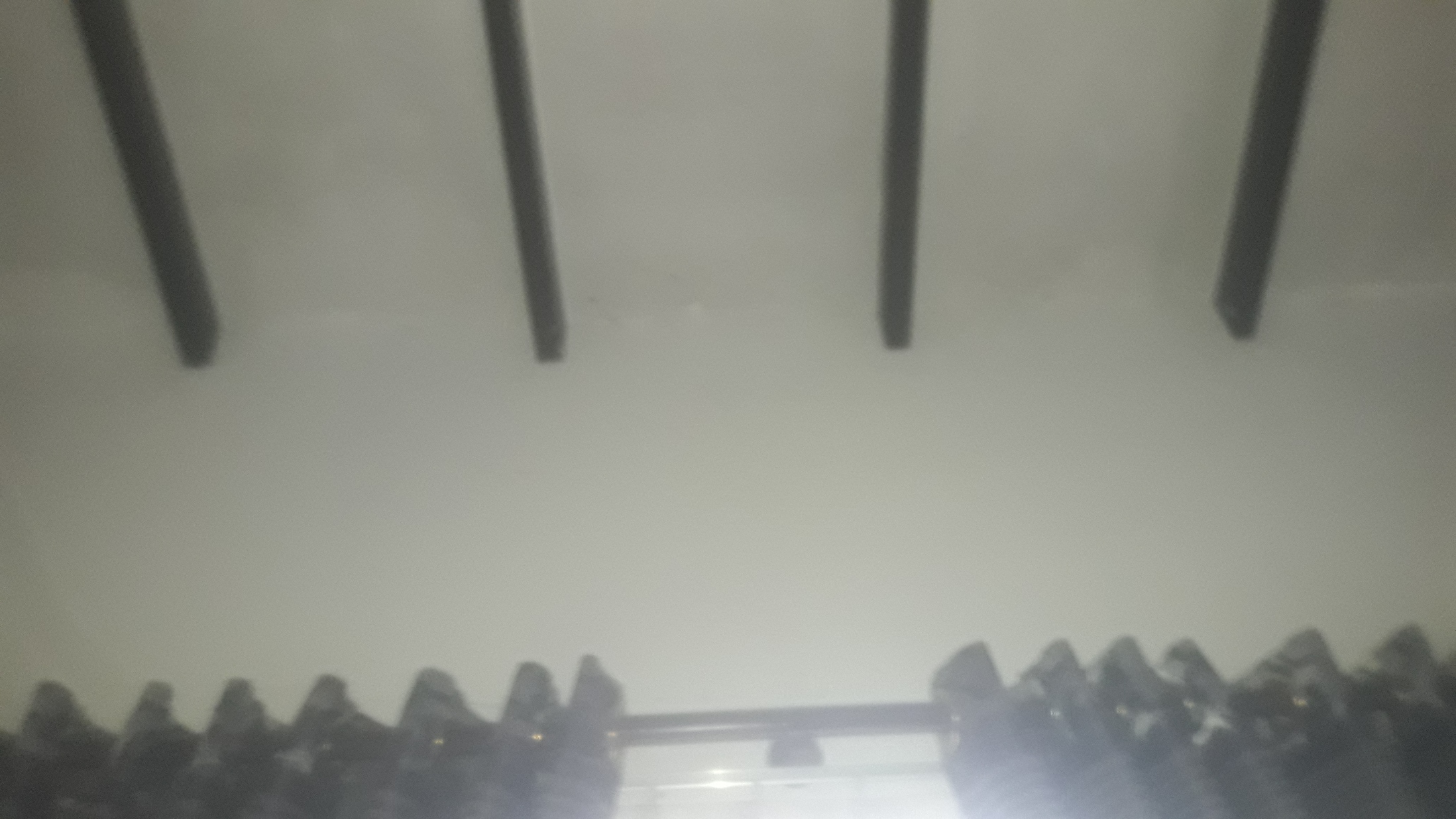 1708426220550.jpeg