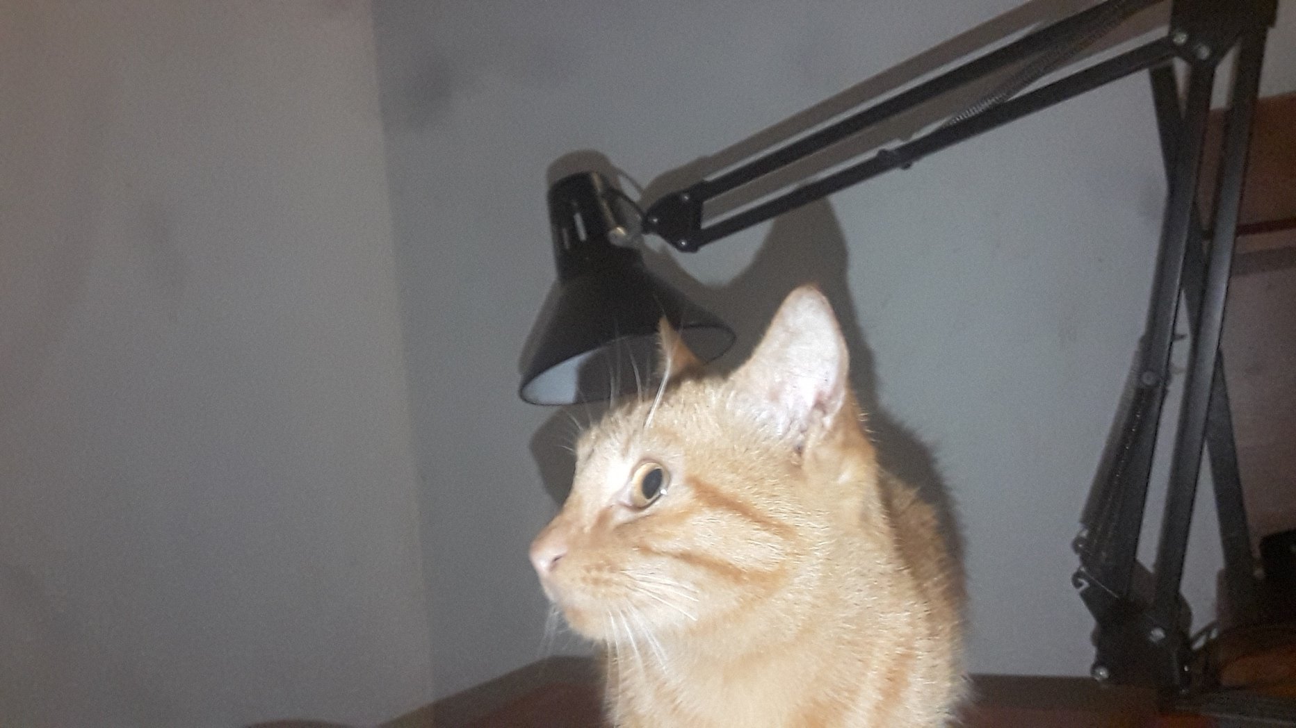 1709737529848.jpeg
