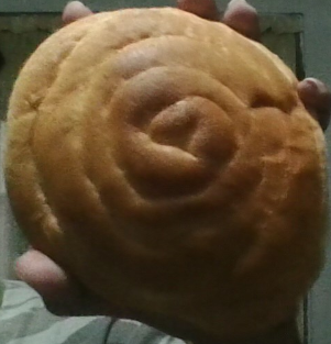1709815559978.png