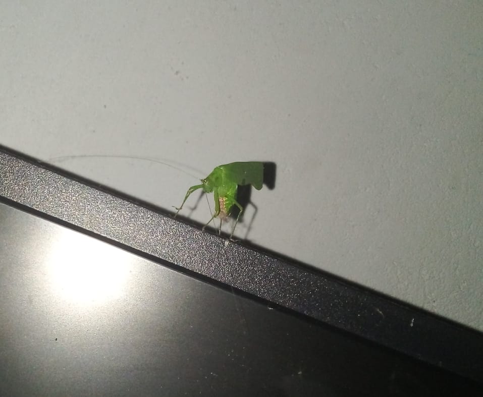 1709924578985.jpeg