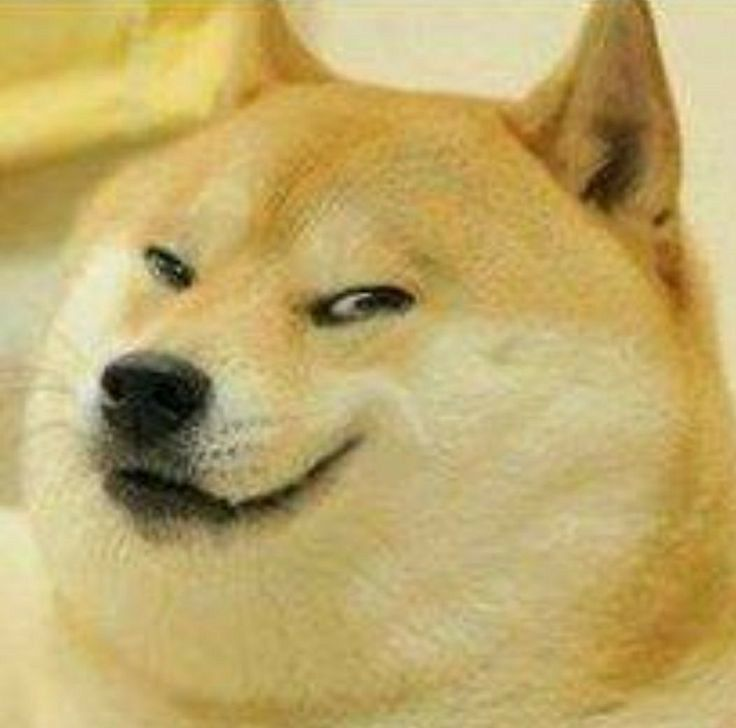 1710078074434.png