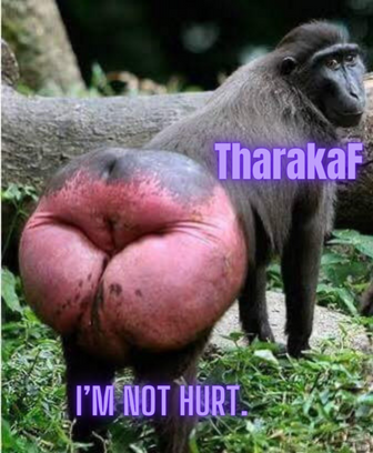 1711465412805.png