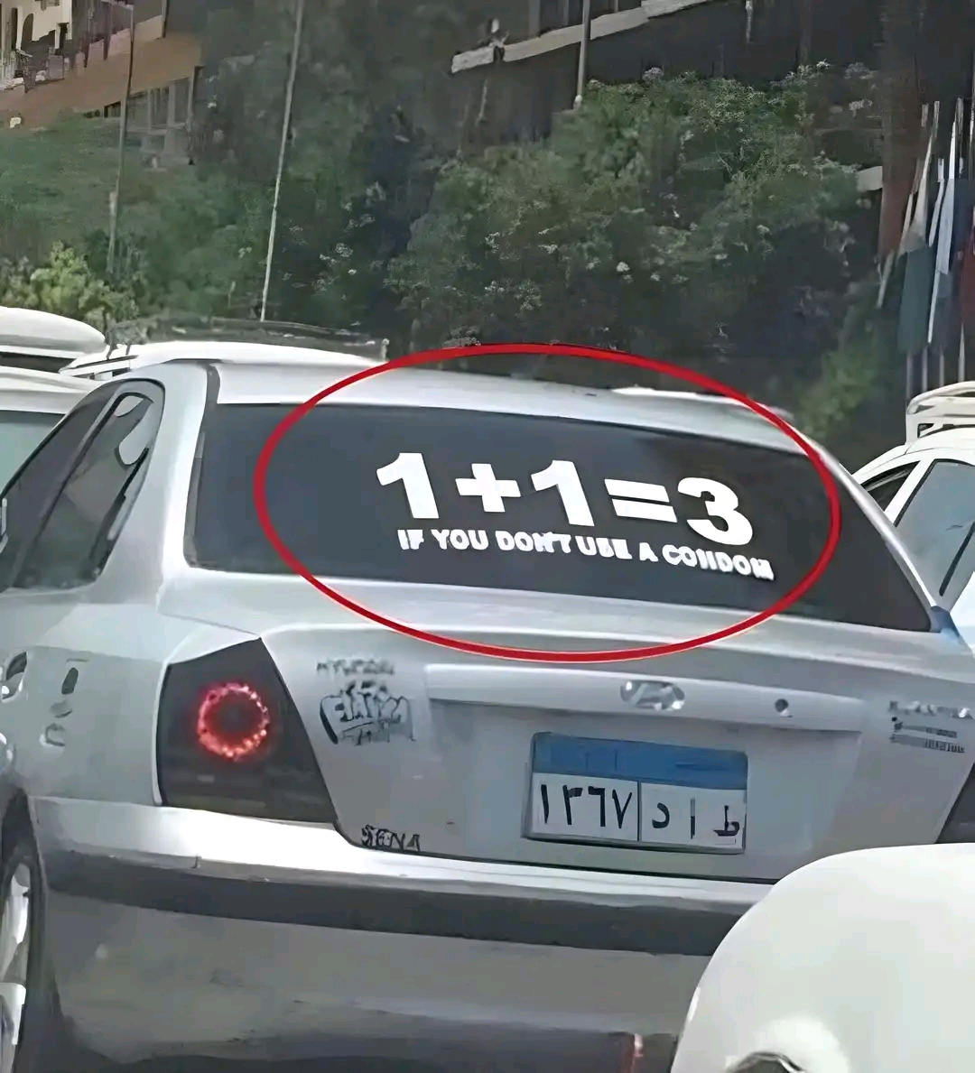 1714190955646.jpg