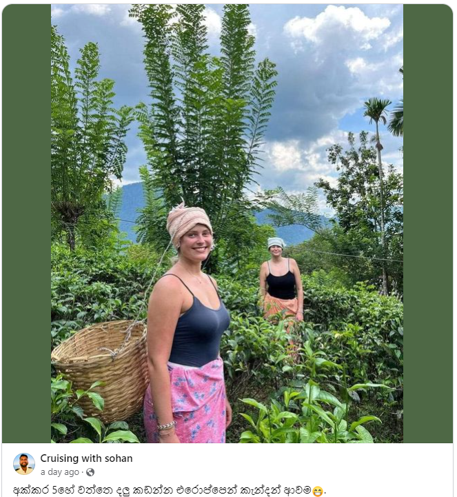 1718162647911.png