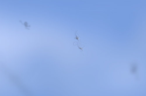 1723818934635.jpeg