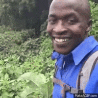 1726954569193.gif