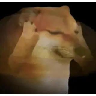 1727538933828.png