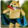 1728081098387.png